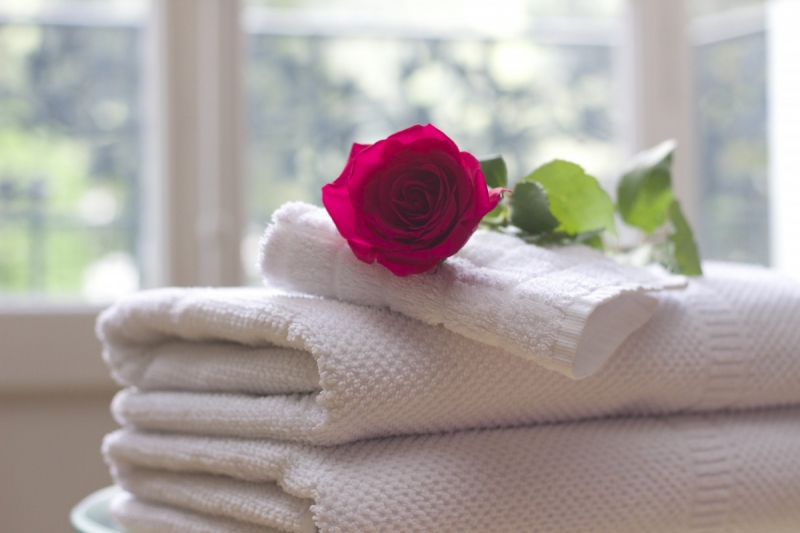 hotel-LE CANNET DES MAURES-min_towel_rose_clean_care_salon_spa_white_bath-731641